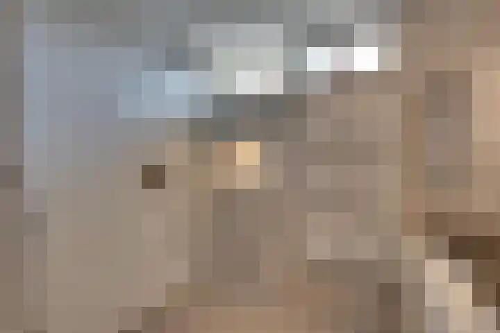 Roozenburglaan 151 Middelburg thumbnail 39