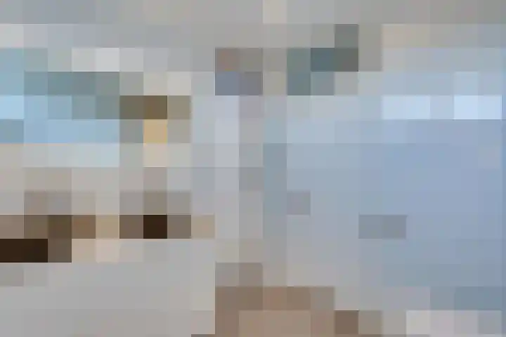Roozenburglaan 151 Middelburg thumbnail 40
