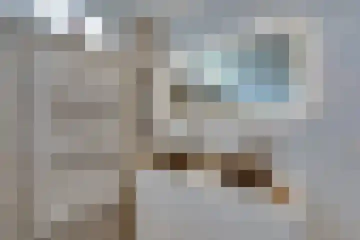 Roozenburglaan 151 Middelburg thumbnail 41