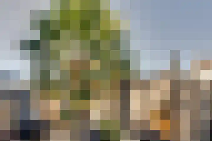 Roozenburglaan 151 Middelburg thumbnail 64