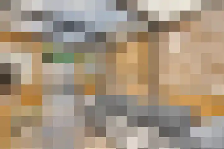 Roozenburglaan 151 Middelburg thumbnail 65