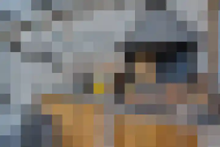Roozenburglaan 151 Middelburg thumbnail 66