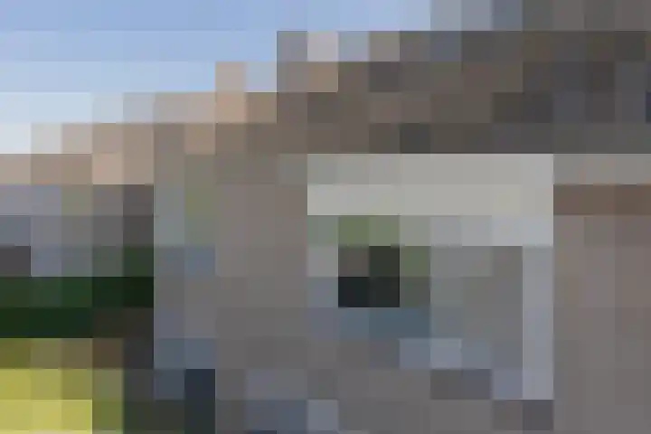 Roozenburglaan 151 Middelburg thumbnail 69