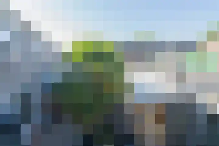 Roozenburglaan 151 Middelburg thumbnail 72