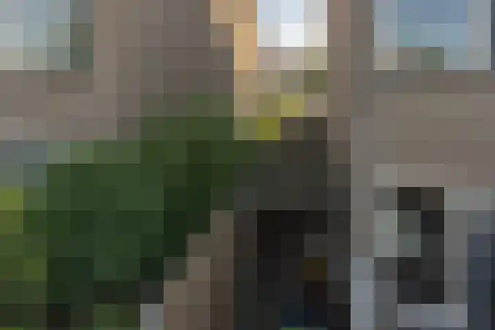 Roozenburglaan 151 Middelburg thumbnail 73