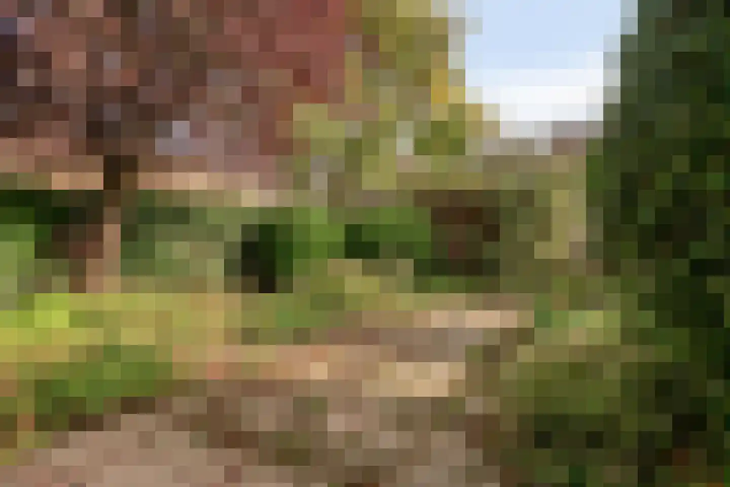 Roozenburglaan 91 Middelburg thumbnail 27