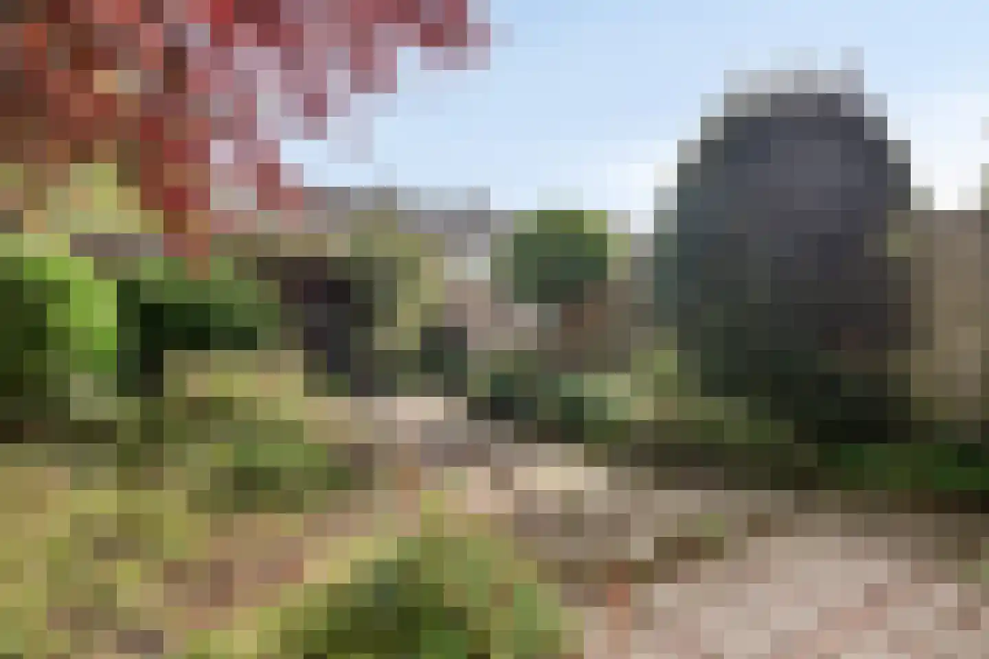 Roozenburglaan 91 Middelburg thumbnail 30