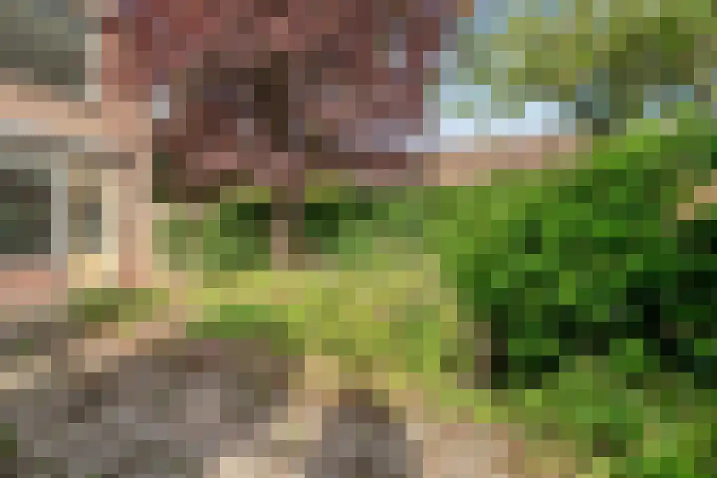 Roozenburglaan 91 Middelburg thumbnail 31