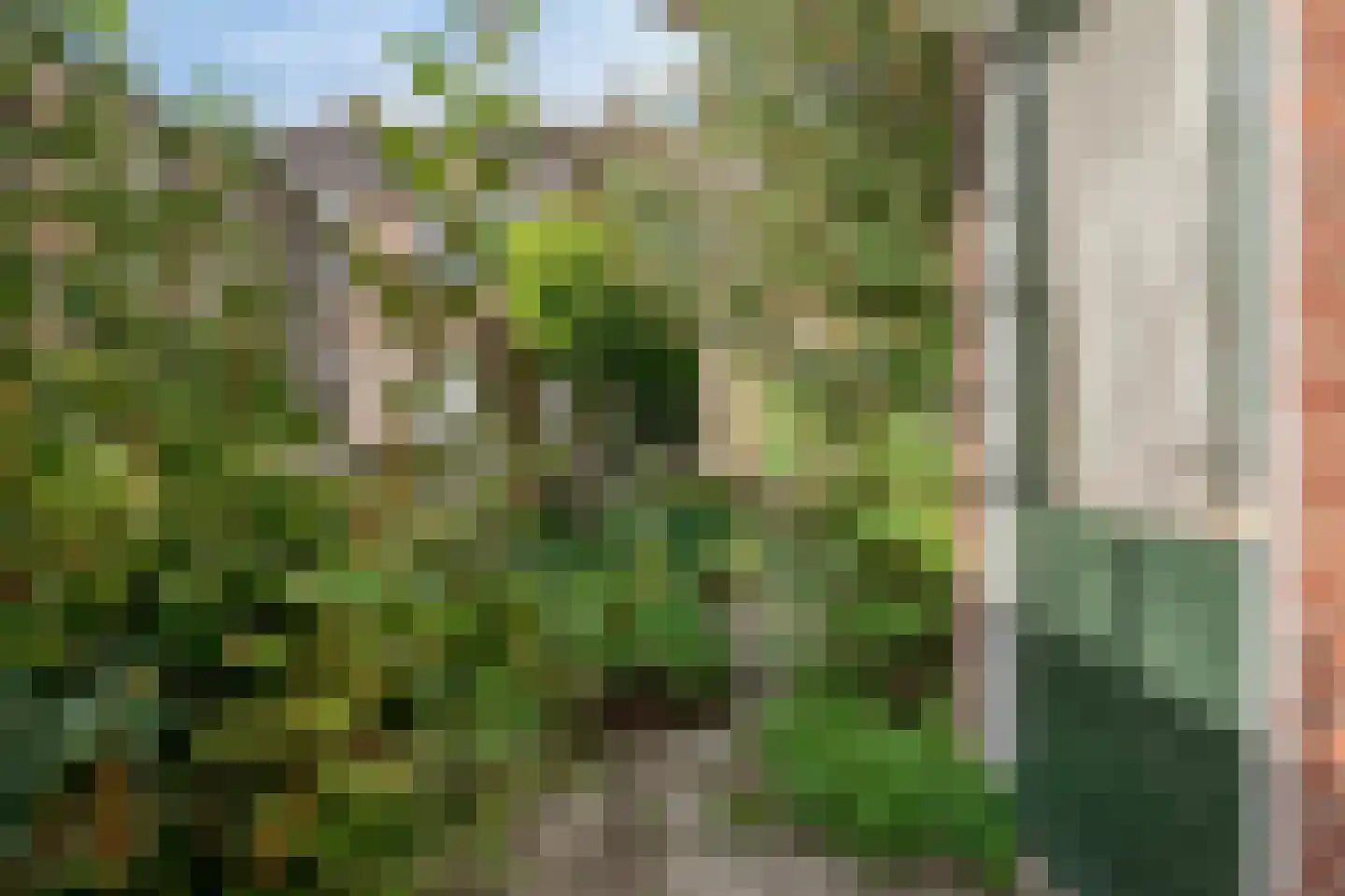 Roozenburglaan 91 Middelburg thumbnail 32