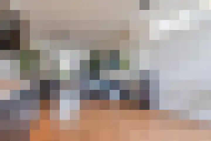 Ropjeskuil 10 Alkmaar thumbnail 10
