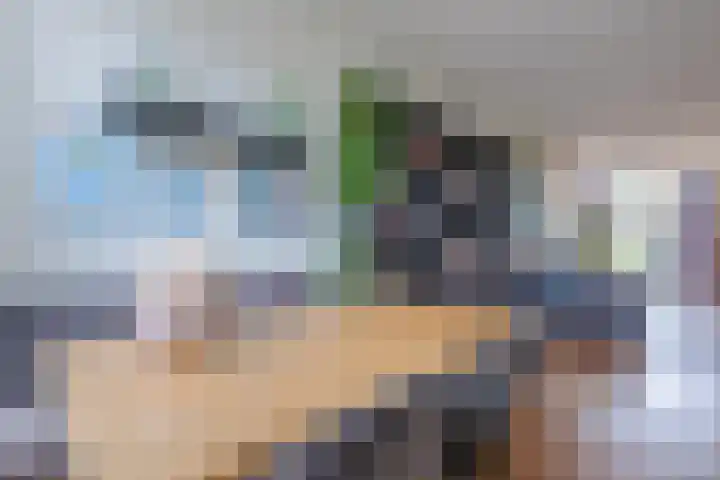 Ropjeskuil 10 Alkmaar thumbnail 12