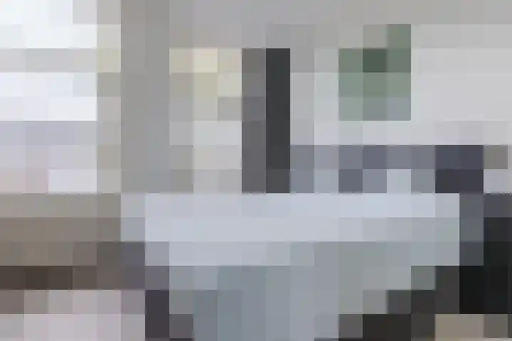 Ropjeskuil 10 Alkmaar thumbnail 21