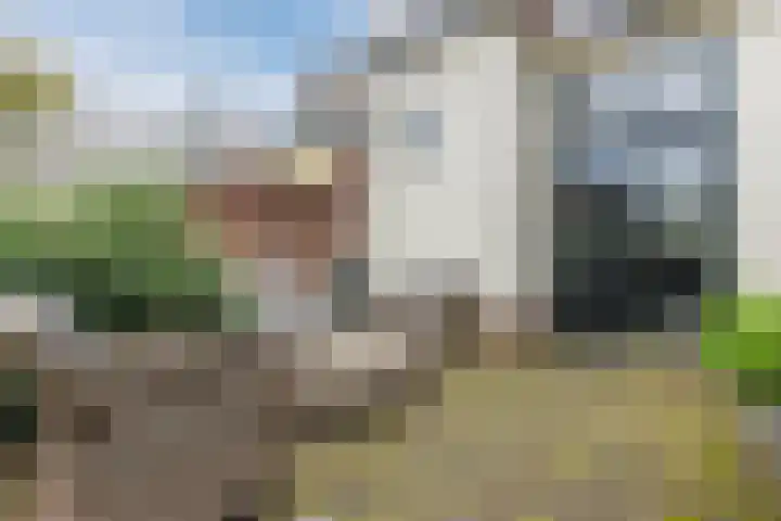 Ropjeskuil 10 Alkmaar thumbnail 29