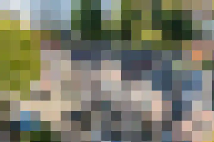 Ropjeskuil 10 Alkmaar thumbnail 31