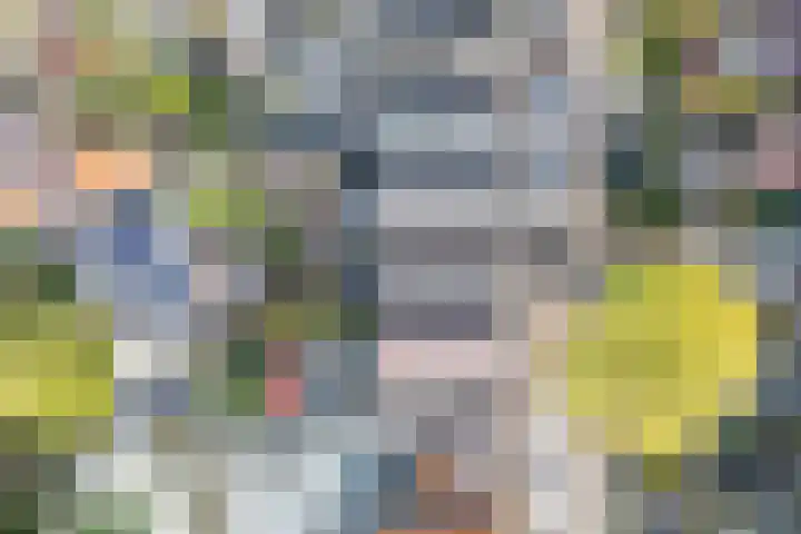 Ropjeskuil 10 Alkmaar thumbnail 32
