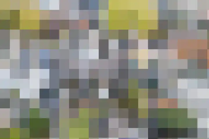 Ropjeskuil 10 Alkmaar thumbnail 33
