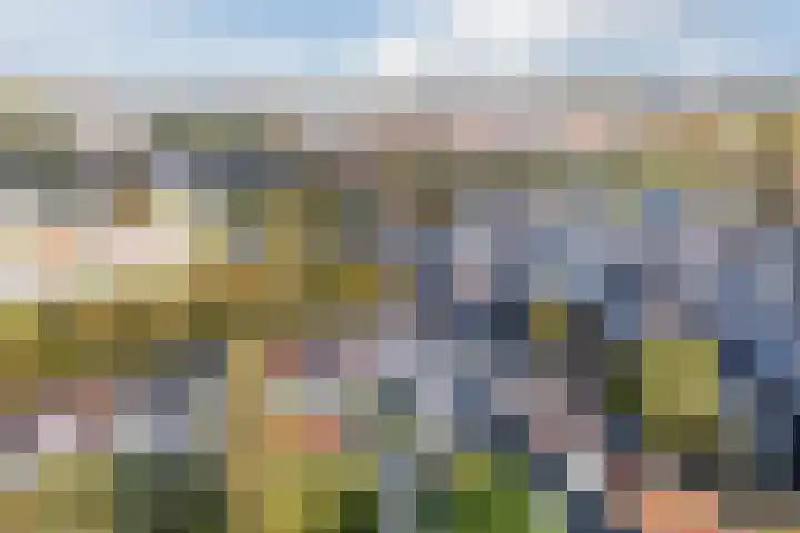 Ropjeskuil 10 Alkmaar thumbnail 34