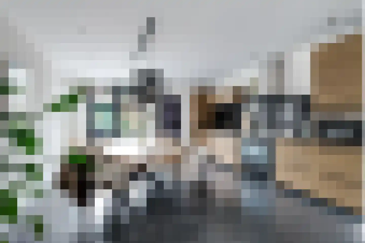 Ropjeskuil 4 Alkmaar thumbnail 11