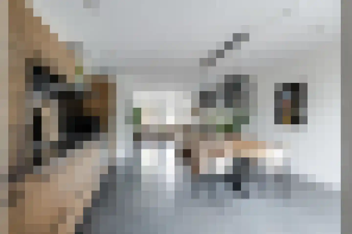 Ropjeskuil 4 Alkmaar thumbnail 12