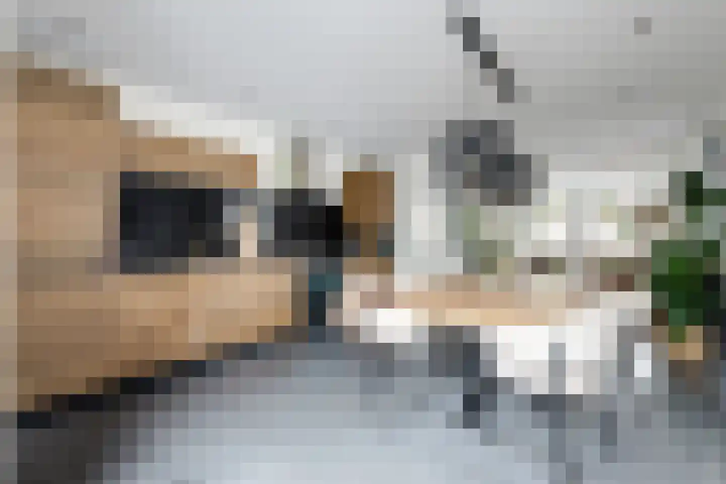 Ropjeskuil 4 Alkmaar thumbnail 13