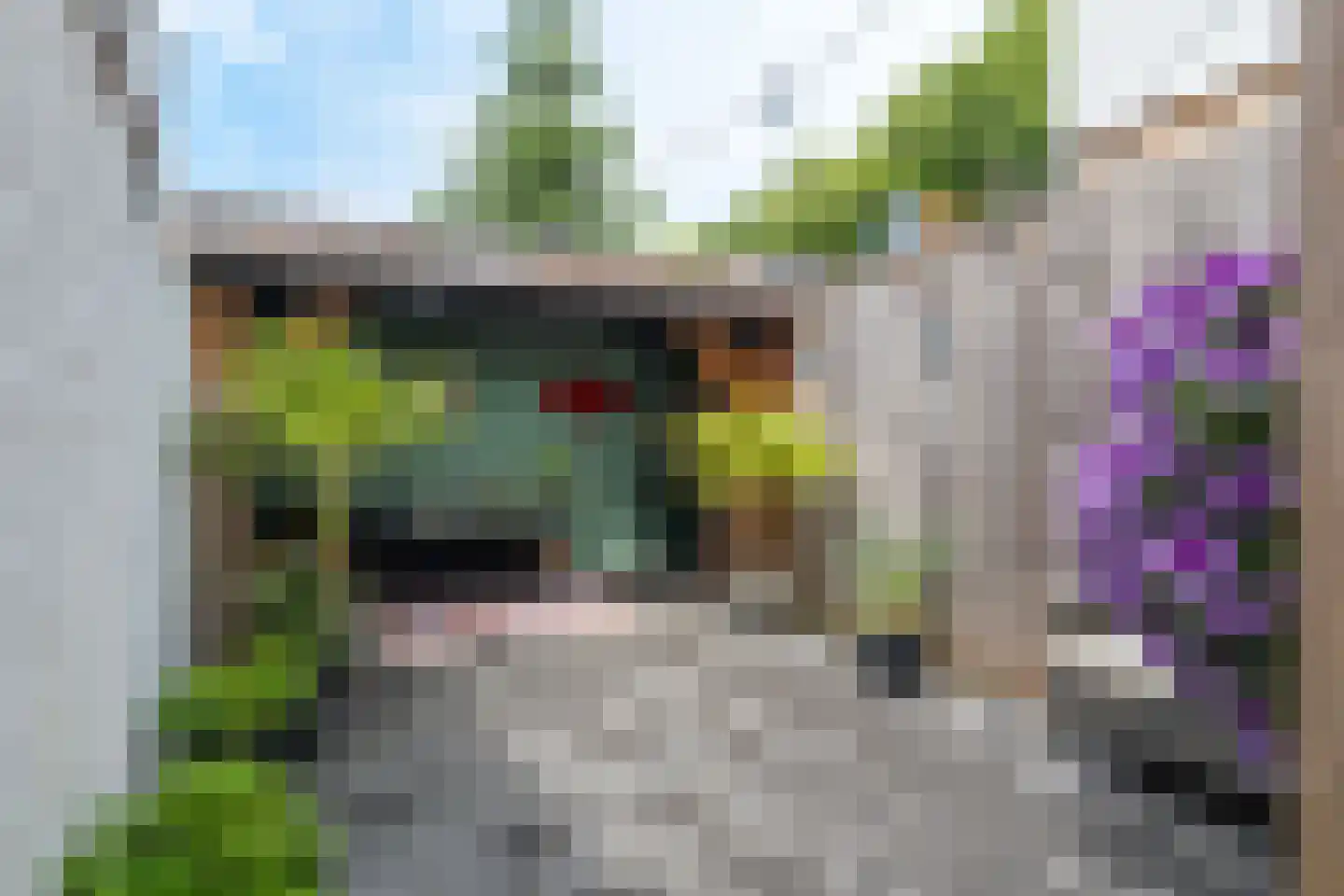 Ropjeskuil 4 Alkmaar thumbnail 15