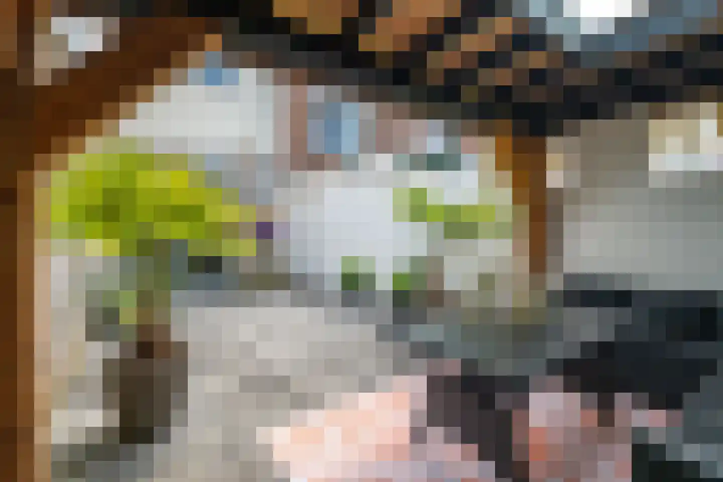 Ropjeskuil 4 Alkmaar thumbnail 18