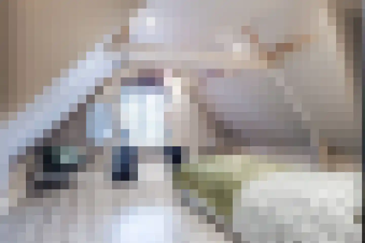 Ropjeskuil 4 Alkmaar thumbnail 23