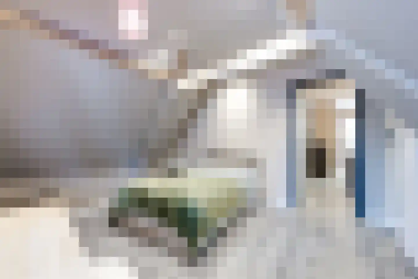 Ropjeskuil 4 Alkmaar thumbnail 24