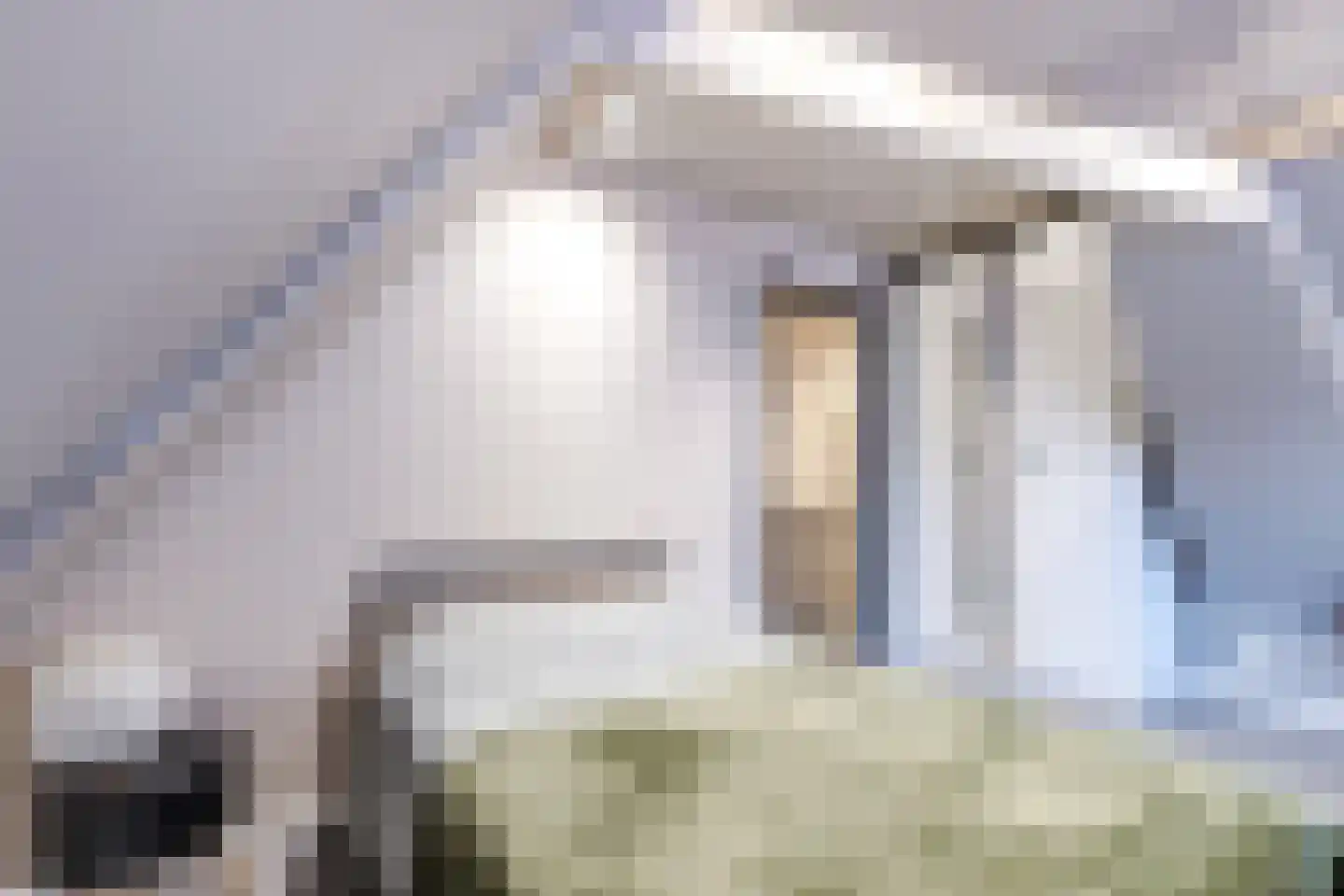 Ropjeskuil 4 Alkmaar thumbnail 25