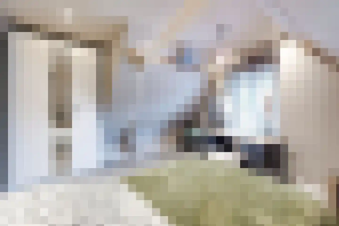 Ropjeskuil 4 Alkmaar thumbnail 26