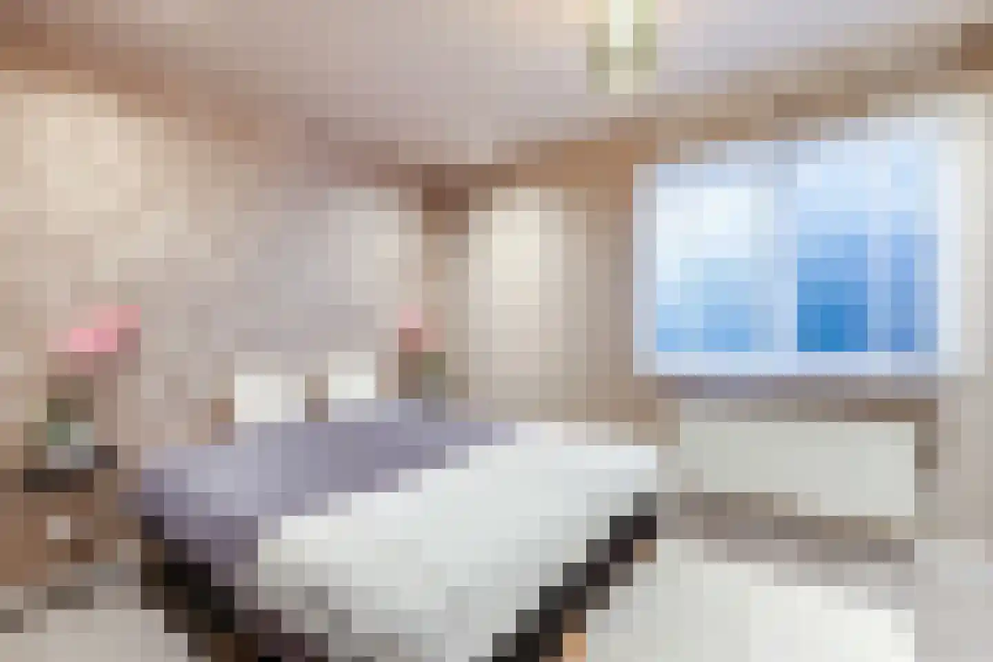 Ropjeskuil 4 Alkmaar thumbnail 27