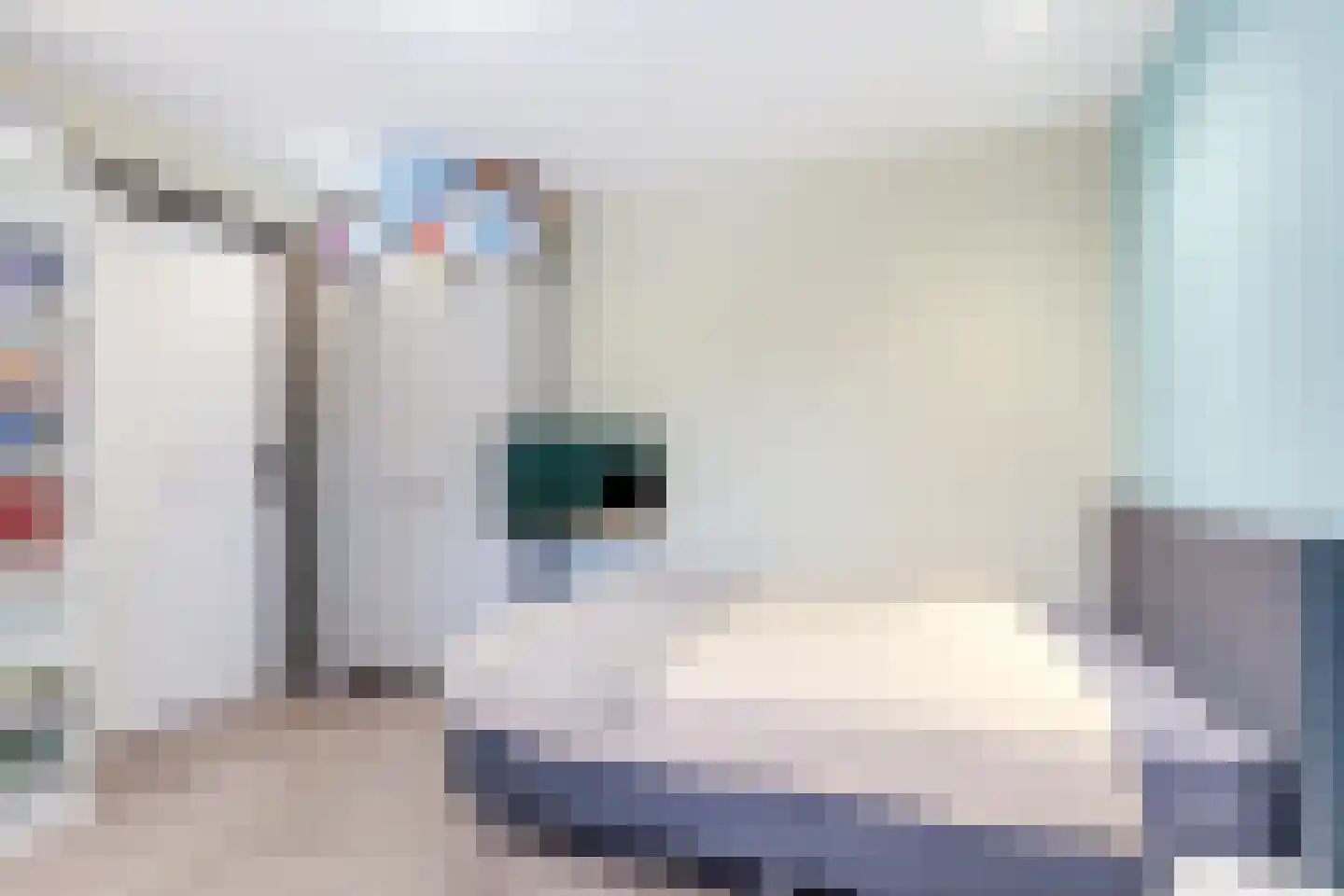 Ropjeskuil 4 Alkmaar thumbnail 32