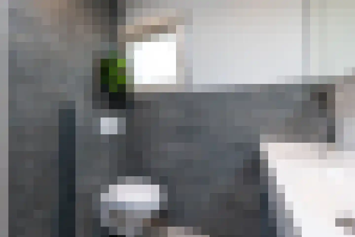 Ropjeskuil 4 Alkmaar thumbnail 34