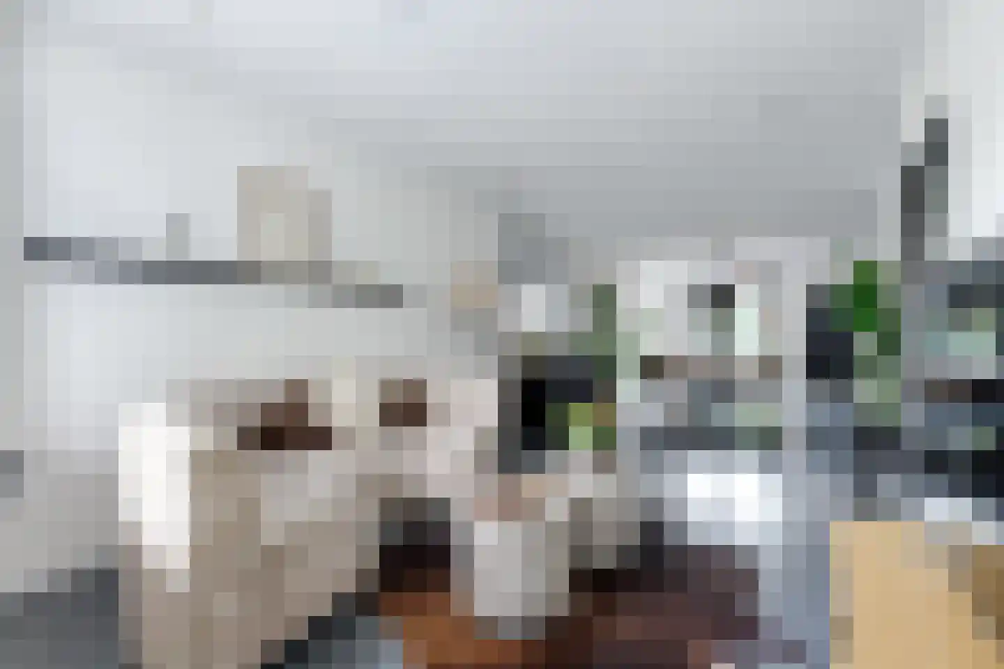 Ropjeskuil 4 Alkmaar thumbnail 9