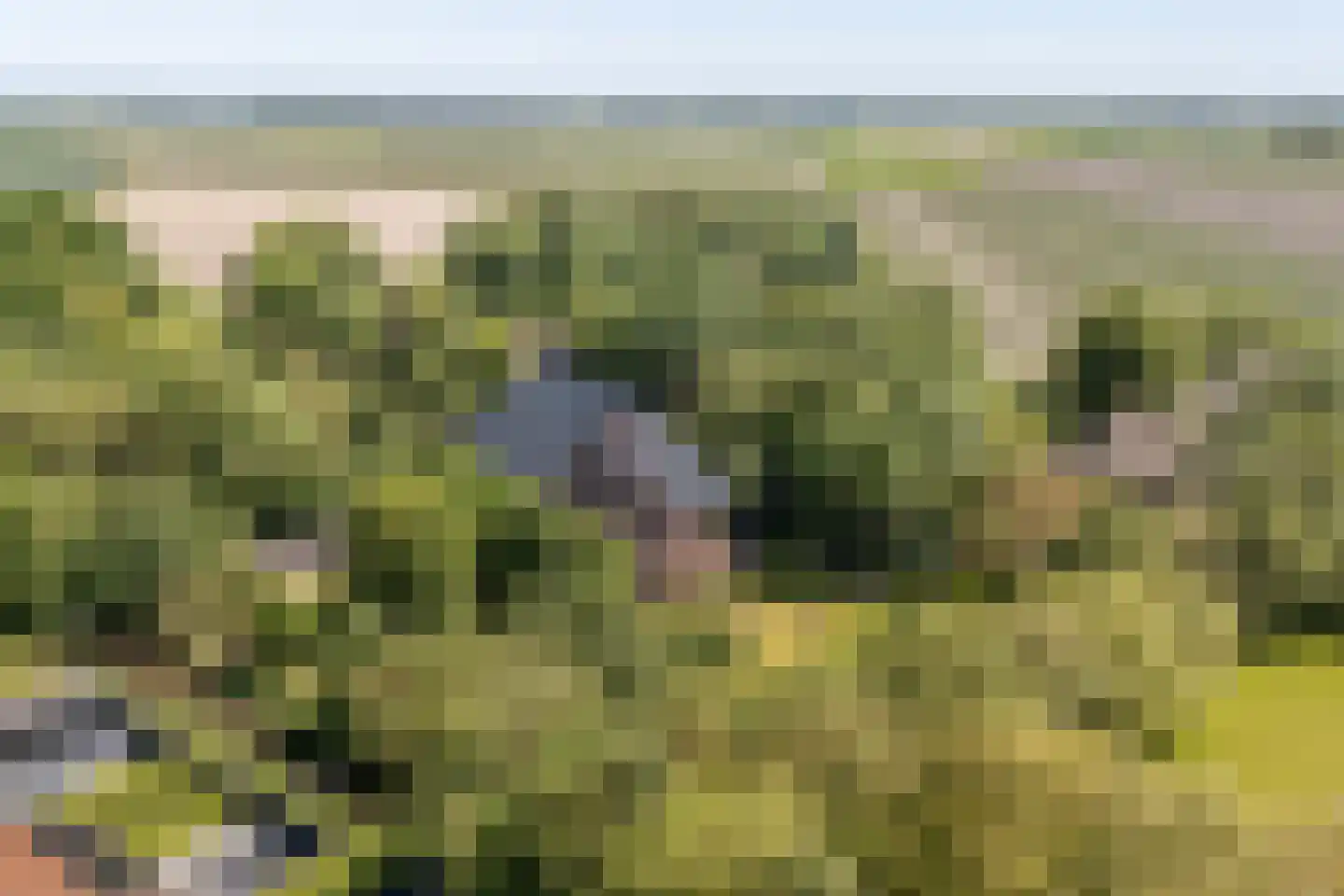 Ropsterwei 3 Easternijtsjerk thumbnail 10