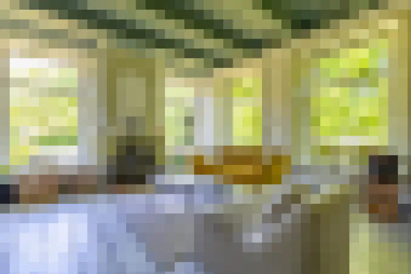 Ropsterwei 3 Easternijtsjerk thumbnail 20