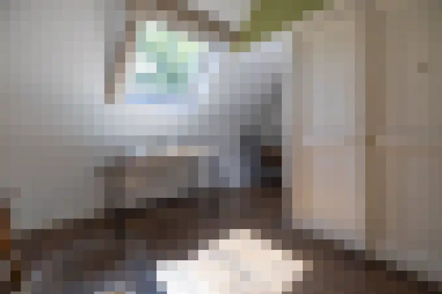 Ropsterwei 3 Easternijtsjerk thumbnail 44