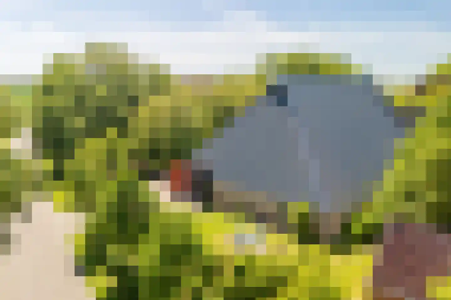 Ropsterwei 3 Easternijtsjerk thumbnail 5