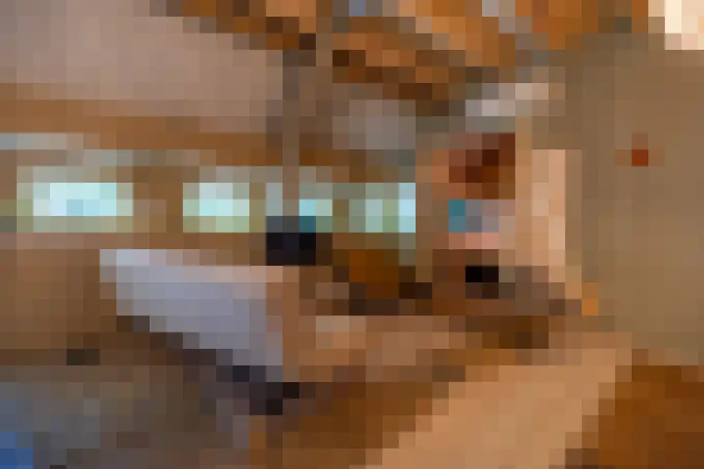 Ropsterwei 3 Easternijtsjerk thumbnail 51