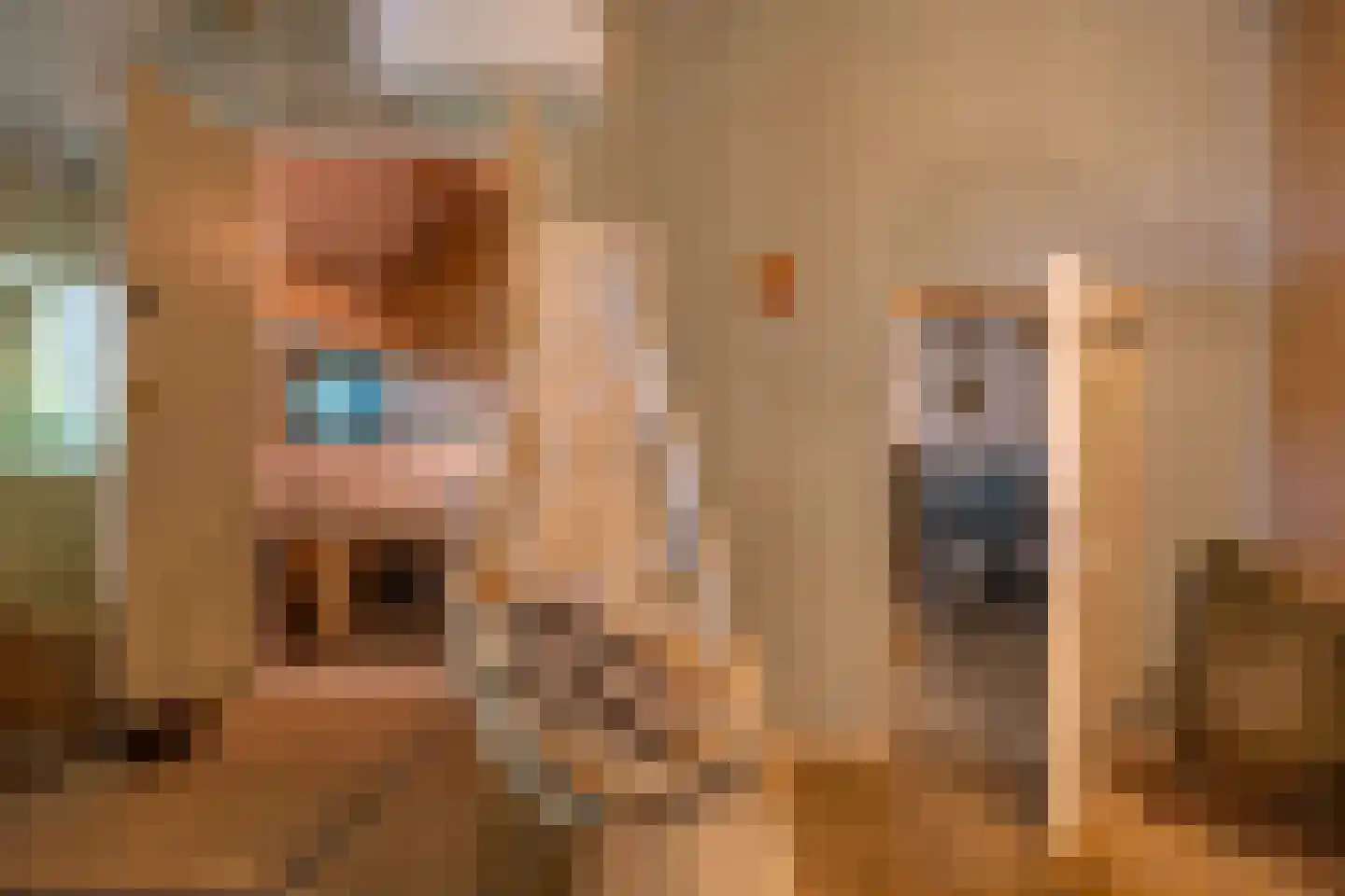 Ropsterwei 3 Easternijtsjerk thumbnail 52