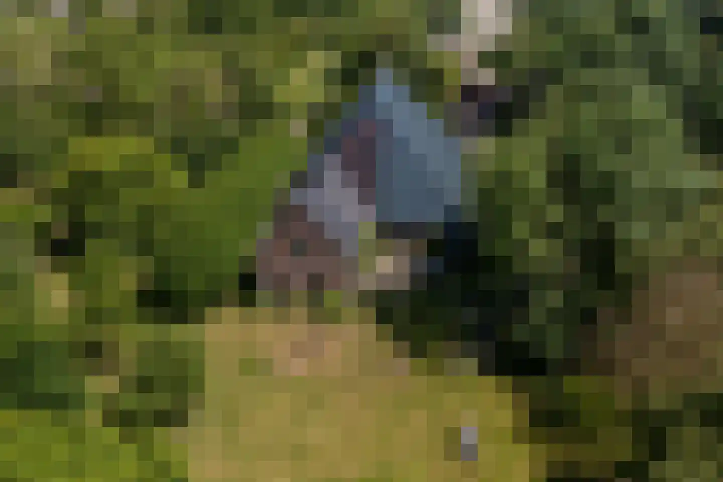 Ropsterwei 3 Easternijtsjerk thumbnail 6