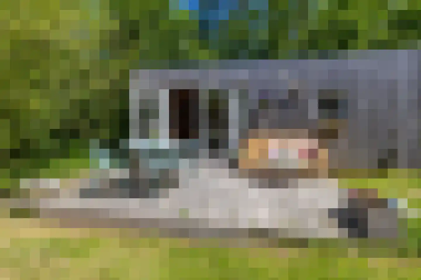Ropsterwei 3 Easternijtsjerk thumbnail 68