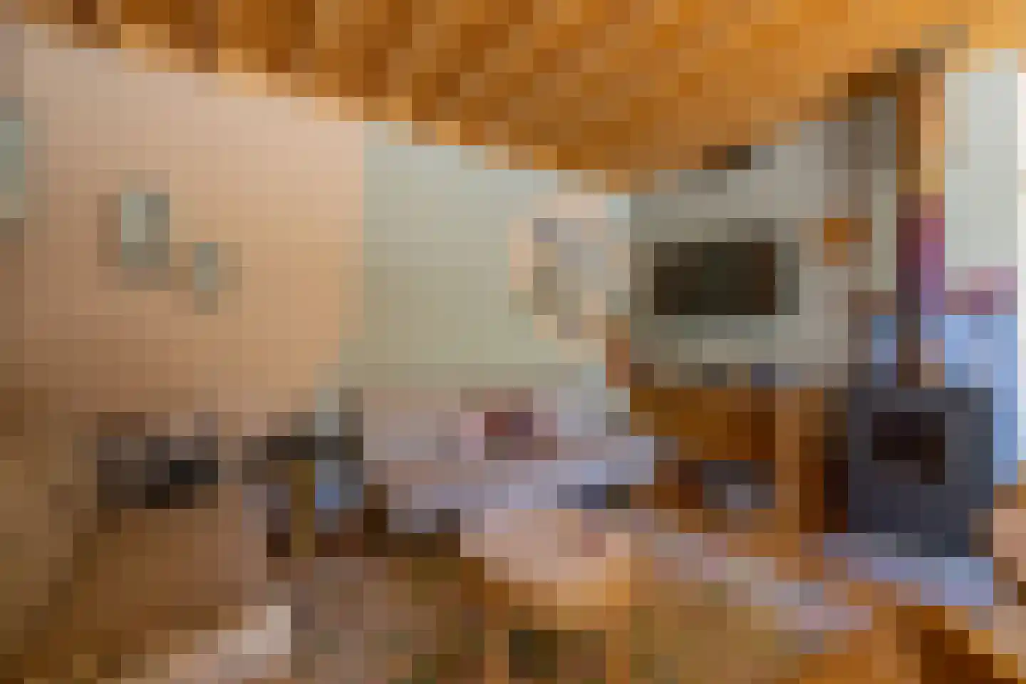 Ropsterwei 3 Easternijtsjerk thumbnail 73