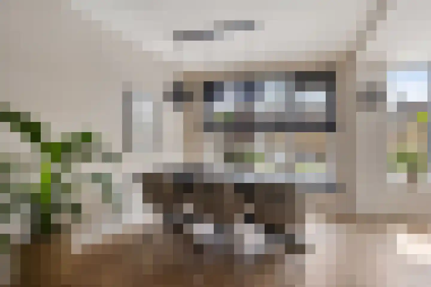Ropta 19 Drachten thumbnail 11