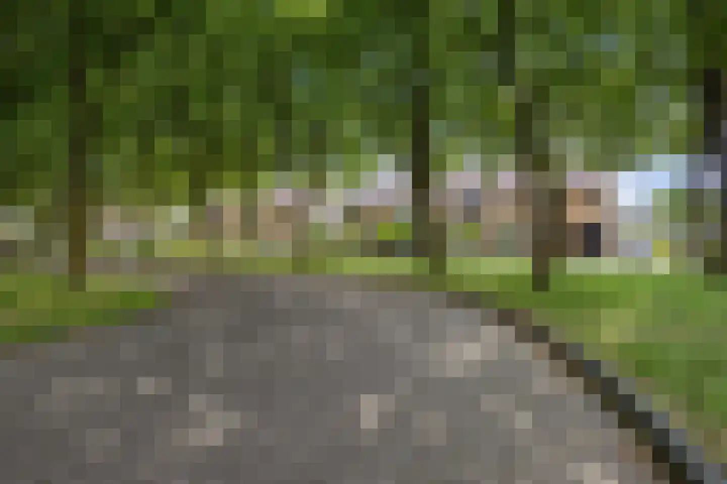 Ropta 19 Drachten thumbnail 40