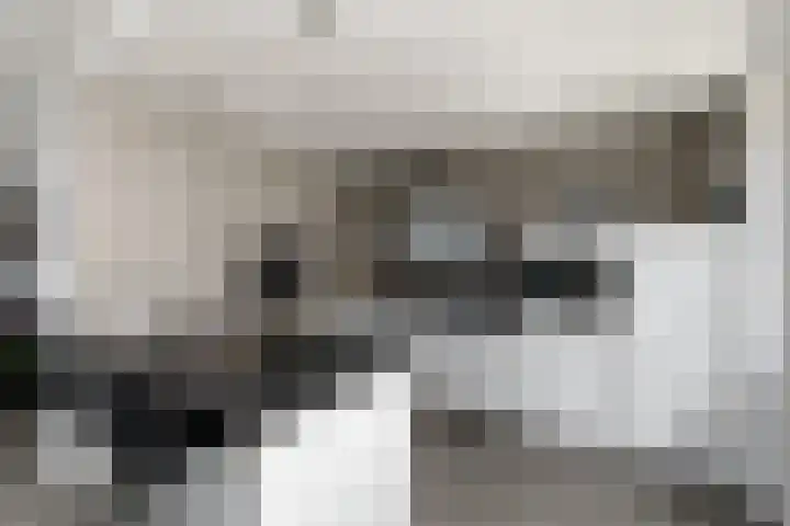 Ropta 62 Drachten thumbnail 16
