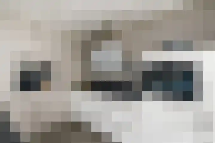Ropta 62 Drachten thumbnail 18