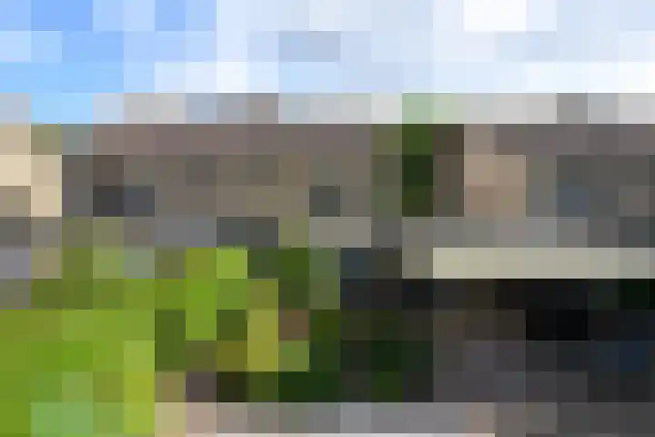 Ropta 62 Drachten thumbnail 4