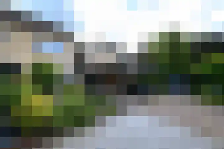 Ropta 62 Drachten thumbnail 40
