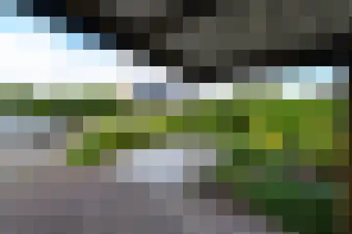 Ropta 62 Drachten thumbnail 42